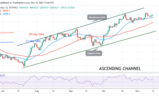 Bitcoin (BTC) Price Prediction: BTC/USD Trades in a Range as Buyers Battle $66k High
