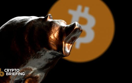 Crypto Market Tumbles as Whales Send Bitcoin Below $50,000