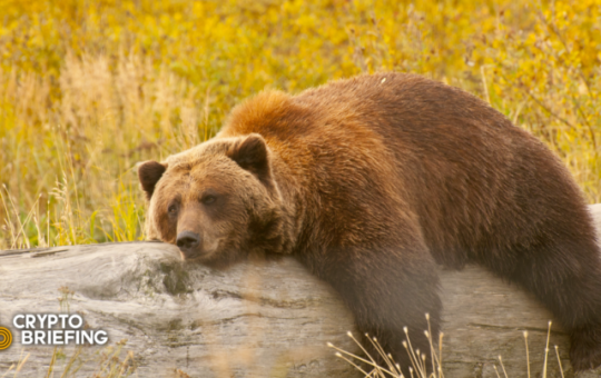 Crypto Suffers Another Hit Amid Market Uncertainty