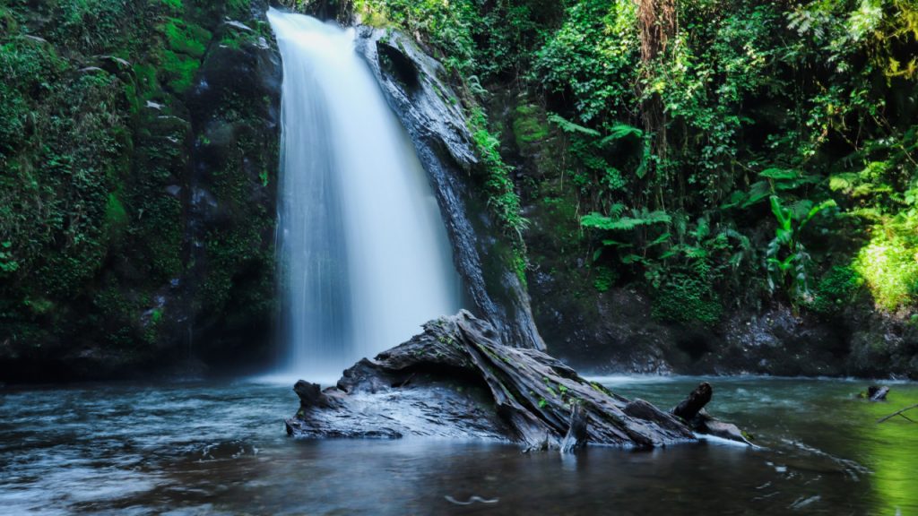 Kenyan Firm Using Wasted Energy to Mine Bitcoin — Business Model Said to Potentially Help Decentralize Mining – Mining Bitcoin News