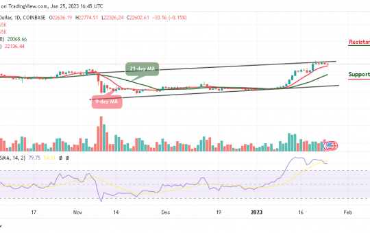 Bitcoin Price Prediction for Today, January 25: BTC/USD May Not Go Beyond $23k Resistance