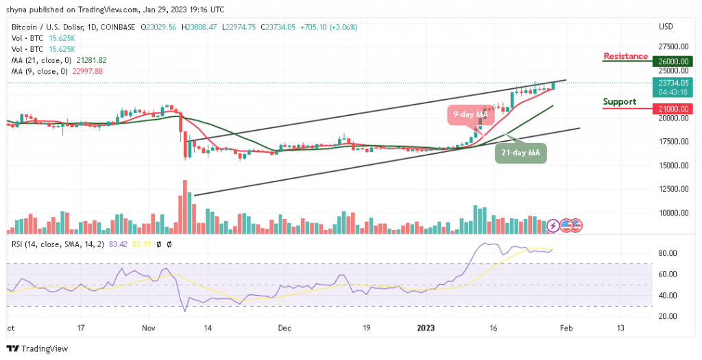 Bitcoin Price Prediction for Today, January 29: BTC/USD Bounces Near $24,000 Resistance Level