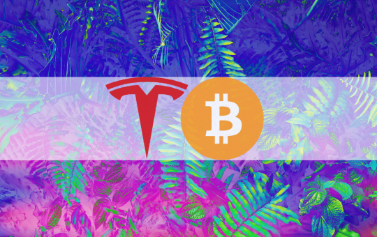 Tesla Remained a Bitcoin Hodler During Q2 of 2022