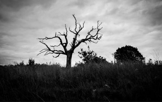 Indian Student Committed Suicide After Becoming a Victim to a Bitcoin Scam (Report)