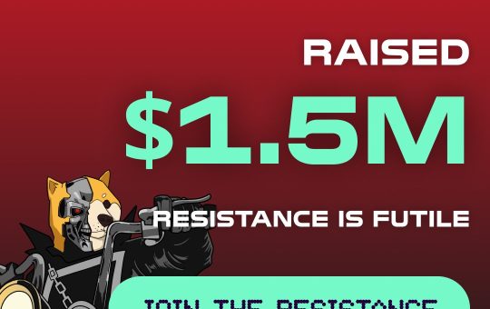 Should you buy more Memeinator tokens as Bitcoin slips below $37k?