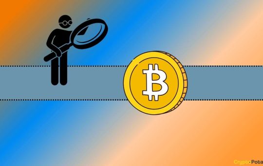 What do Experts Think Comes Next