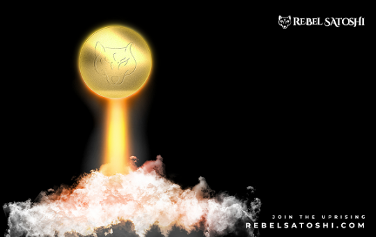 Shiba Inu soars as token burning accelerates; Polkadot and Rebel Satoshi popularity rises