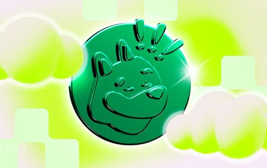 BONK Eyes 80% Price Increase According to These Metrics