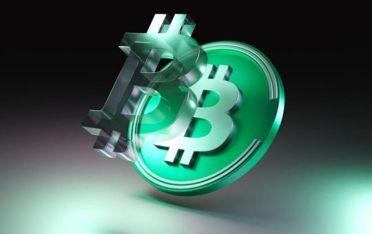 Bitcoin Cash Price Up 11% Following Post-Halving Rollercoaster Ride