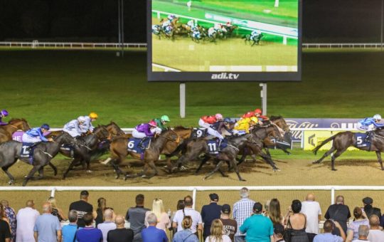 The Winners Circle is Bringing Horse Racing to a New Generation of Web3 Fans